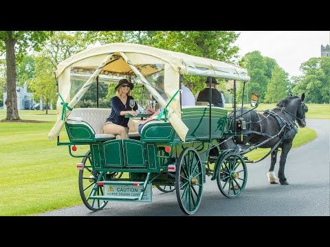 etli მიდის ეტლი ღიღინით