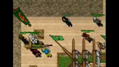 Tibia Aldora 163 Master Sorcerer Binovek Die 2x