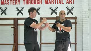 Wing Chun Forms Overview - Lesson 1