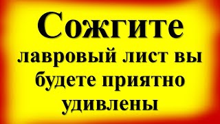 Сожгите лавровый лист, вы ахнете от результата. Ритуалы на привлечение денег