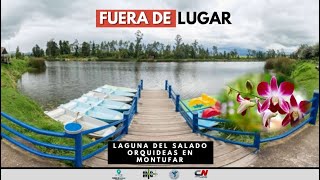 LAGUNA EL SALADO - CARCHI - ECUADOR / ORQUIDEAS EN MONTUFAR