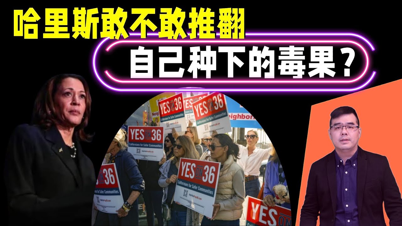 哈里斯敢不敢推翻自己種下的“毒果”?撤銷導致0元購泛濫的法案;36號提案能否扭轉加州犯罪困境?20241009 YouTube