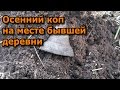 Осенний коп на месте бывшей деревни.