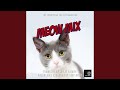 The meow mix commercial  main theme