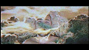 After Me, The Flood - "Cicada 3301" (OFFICIAL MUSIC VIDEO)