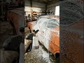 Rust to Riches: Restoring a rare Ford Torino Cobra found in the wild!