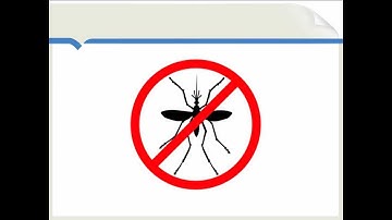 Pricing Mosquito Nets