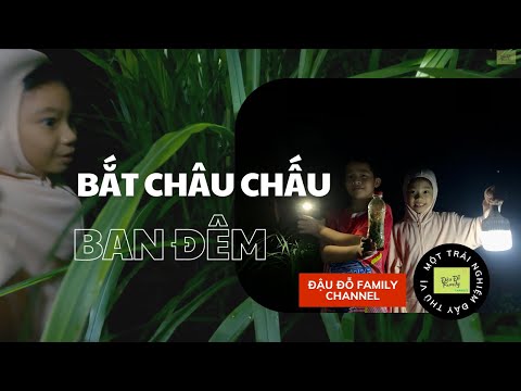 Video Bắt Châu Chấu Đêm - Trở lại tuổi thơ, Một trải nghiệm... - youtube