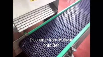 Smisco Side Flexing Conveyor with inline Metal Detector