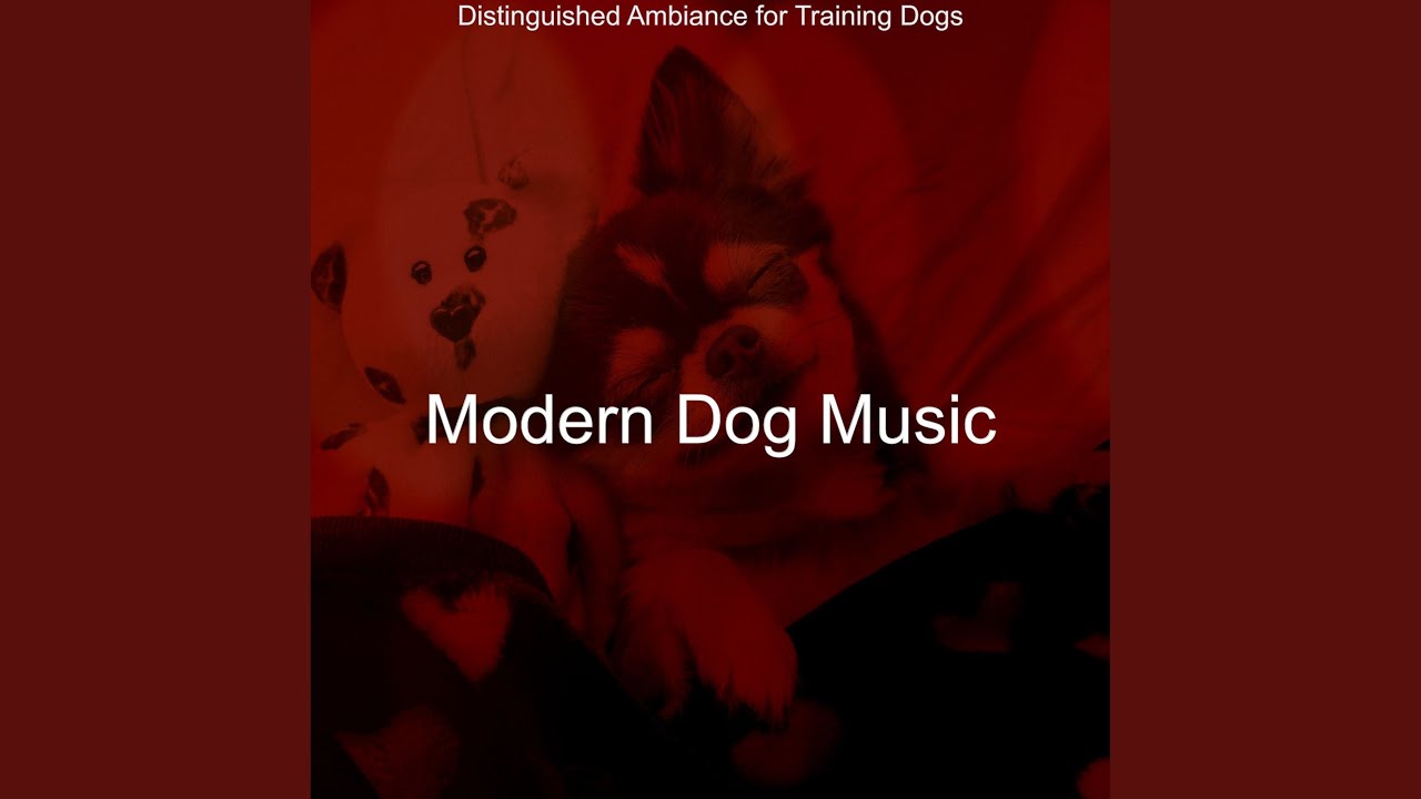 Exciting Music for Moment