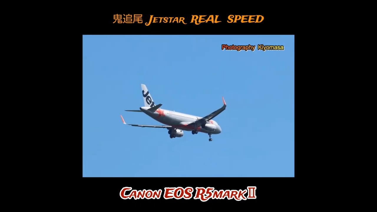 鬼追尾 Jetstar AI 飛行機では表現不可能😸✈️🐦️🦜