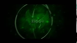 intro(9)ZIGGY