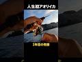 念願の初アオリイカ‼