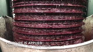 The Gold Of Puglia: Inside The Extra Virgin O Oil Factory - Reportage With My Leica Sl