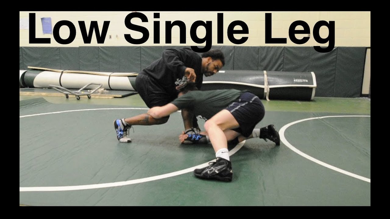 Low Single Leg Takedown: Basic Wrestling and BJJ Moves and Techniques For B...