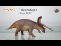 168: PNSO Triceratops (Doyle 2021) Review