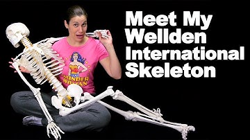 Meet My Wellden International Skeleton - Ask Doctor Jo