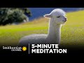 5-Minute Meditation With Grazing Alpacas 🦙 Smithsonian Channel