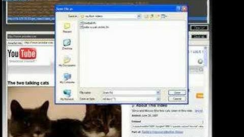 Online video downloader; youtube, metacafe