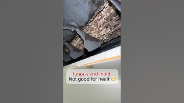 Clean your ac unit ￼ immediately🫩😷#hvac #airconditioner #airconditioning