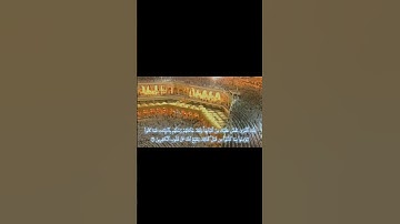 تلاوة خاشعة للشيخ سعود الشريم｜ماتيسر من سورة الأعراف｜عام ١٤١٧ه‍ـ