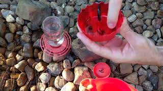 Ant Moats Keep Ants Out Of Hummingbird Feeders