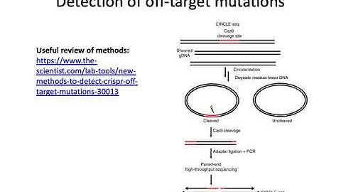 MCB 182 Lecture 4.5 - CRISPR-Cas9 practical considerations, applications