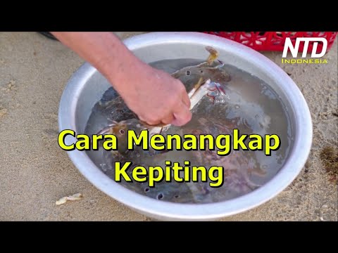 Video: Cara Menangkap Inspirasi