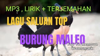 MP3 lagu saluan lirik terjemahan, Manuk manuk Mamua, lagu saluan populer.