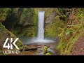 8HRS of Birds Singing and Relaxing Falling Water Sounds - Amazing Waterfall Scenery in 4K