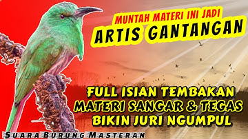MATERI SANGAR DAN TEGAS! MASTERAN SUARA BURUNG FULL ISIAN TEMBAKAN - JADI ARTIS GANTANGAN
