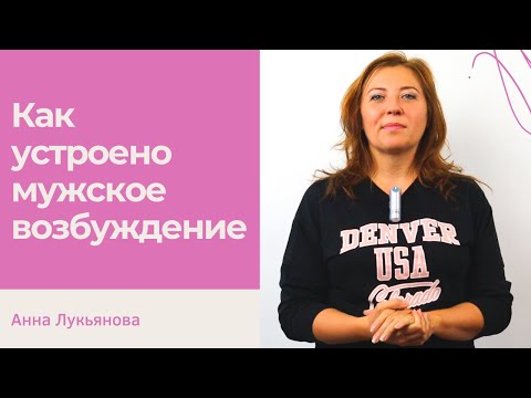 Как устроено мужское возбуждение / Анна Лукьянова