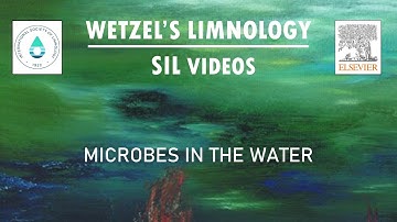 Microbes in the Water - Wetzel