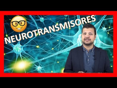 Vídeo: Diferencia Entre Neurotransmisor Y Neuromodulador