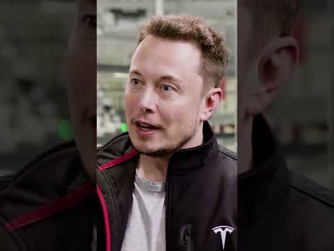 Elon Musk Laughs at the Idea of Getting a PhD... and Explains How to Actually Be Useful!