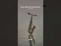 🌅 Dawn Before the World Wakes 🎷#VeloraSilence #MeditationMusic #MorningMeditation #SopranoSaxophone