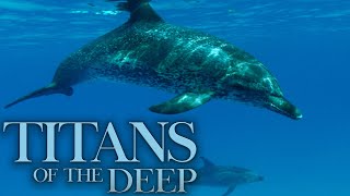 Titans of the Deep - Denizens of the Deep - Episode 3