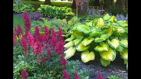 Fool Proof Perennial Flowers by Kathleen Carr