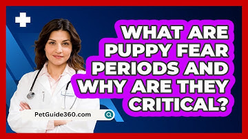 What Are Puppy Fear Periods And Why Are They Critical? - PetGuide360.com