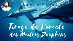 L'Illusion du Manque d'Amour - Tirage Oracle des Maîtres Dauphins