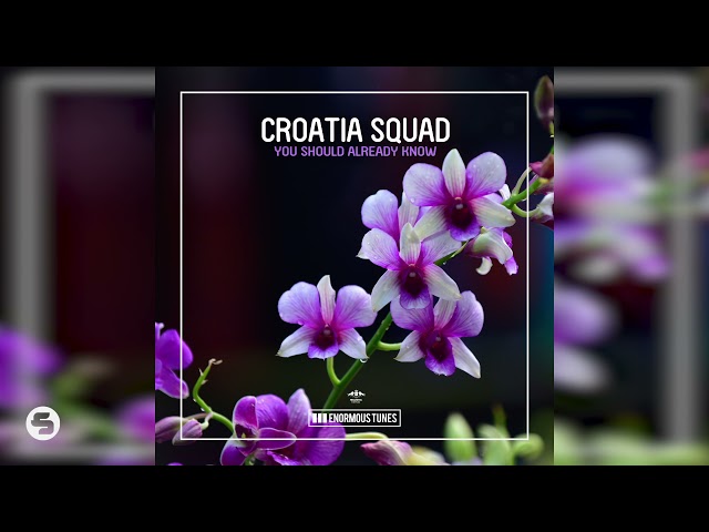 Croatia Squad - You Should Already Know
