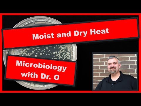 Moist Heat and Dry Heat to Control Growth:  Microbiology