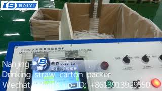 SY082 Drinking Straw cartoning Packer