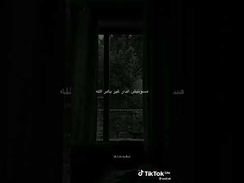أمي ربتني مقاتل