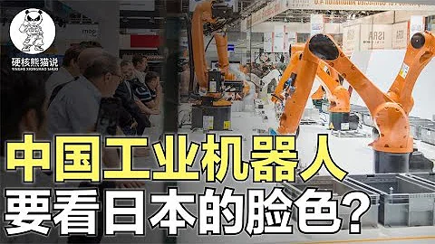 70%依賴進口，被日本企業圍堵，中國工業機器人會被卡脖子嗎？ 【硬核熊貓說】 - 天天要聞