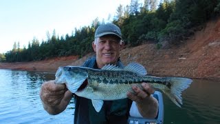 Spotted bass fishing shasta lake