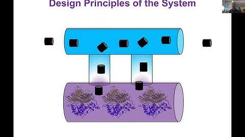 ENFL_MITs Omar Farha 09182020