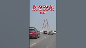 Toàn cảnh cầu Nhật Tân - Cây cầu thép dây văng lớn nhất Việt Nam | @binhyenradio7 #thichnhatdao