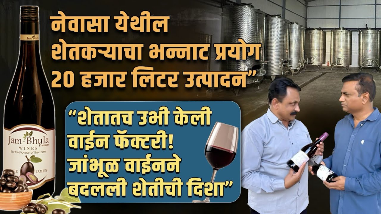 Jam-Bhula- मधुमेही साठी उपयोगी जांभूळ! आता तयार झाली वाईन! जांभूळ वाईन यार्ड! जिद्द, अभ्यासाची कमाल