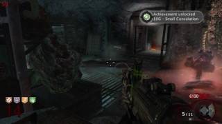 Small Consolation Achievement Guide - Black Ops Zombies